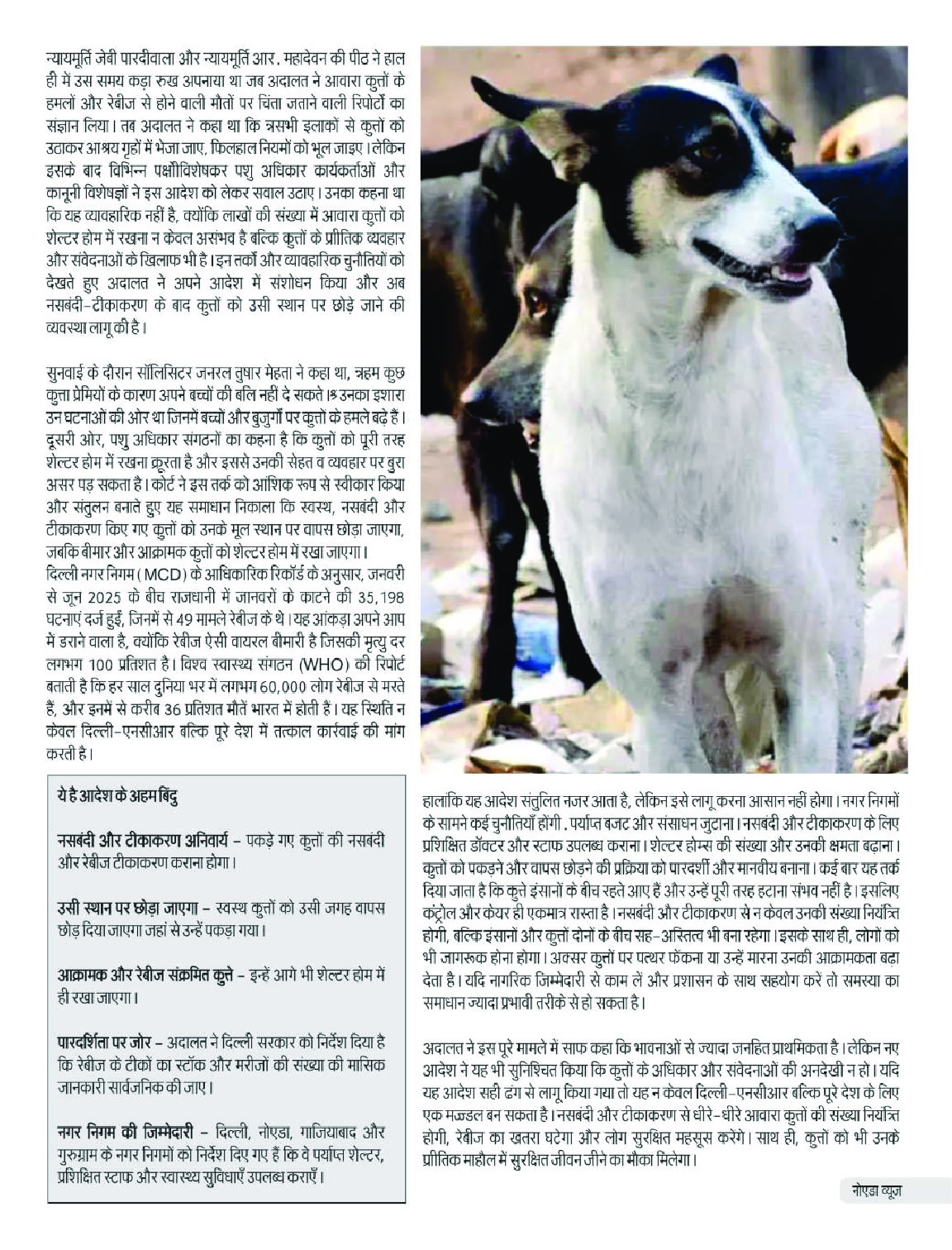 PDF Page 13